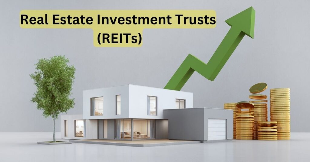 Real Estate Investment Trusts (REITs)